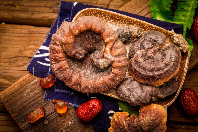 天然養生靈芝功效作用介紹