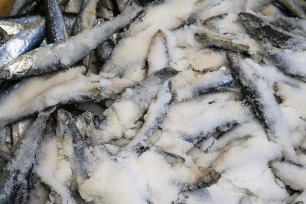 吃到高品質的冰鮮肉類，blackmarket凍肉網店任您挑選