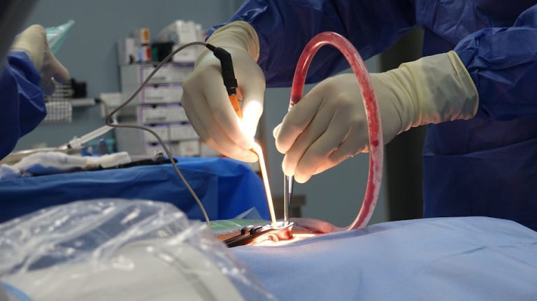 醫療援助的重要性與實用指南