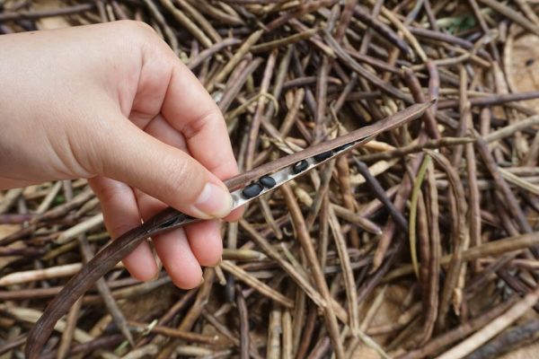 皮秒激光幾耐做一次？溫暖貼心的案例分享