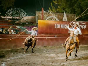 發掘銀包的魅力：實用知識與時尚風範