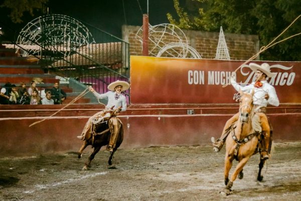 發掘銀包的魅力：實用知識與時尚風範