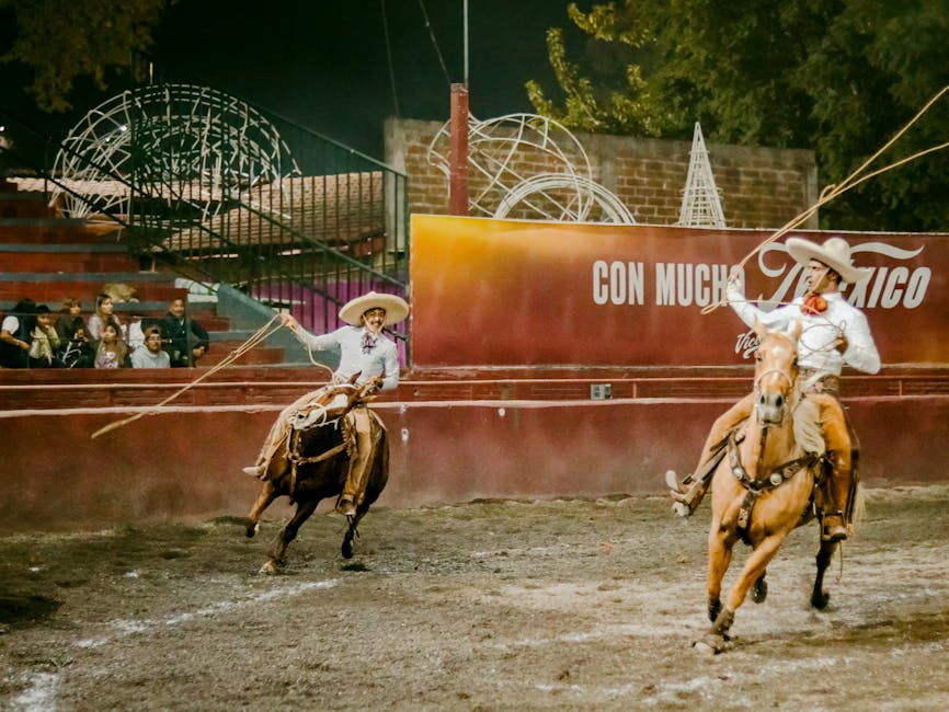 發掘銀包的魅力：實用知識與時尚風範