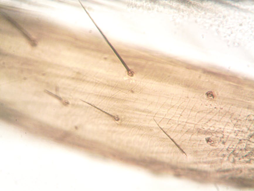 頭皮護理療程的重要性與科學解釋