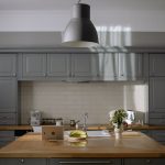 專業滅蟲服務的全面介紹與應用