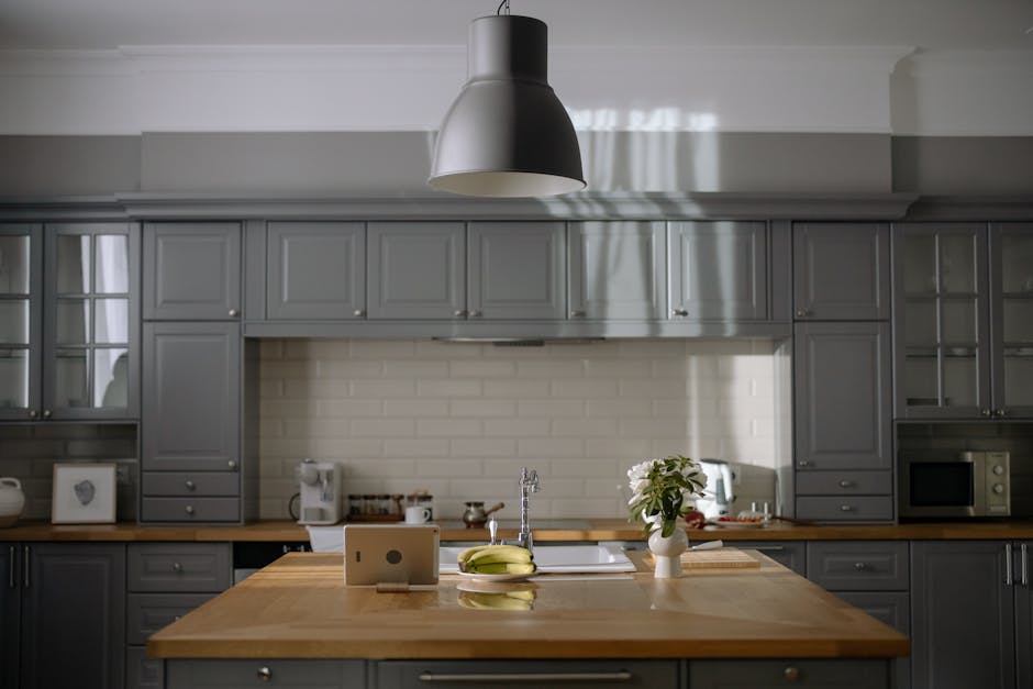 專業滅蟲服務的全面介紹與應用