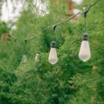 打造夢幻天台花園的實用步驟指南