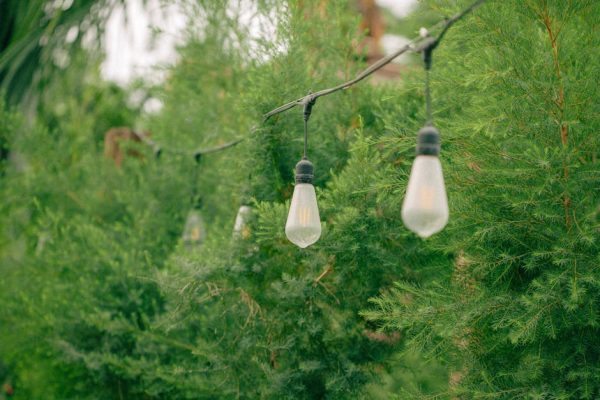 打造夢幻天台花園的實用步驟指南